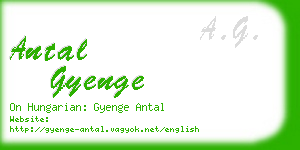 antal gyenge business card